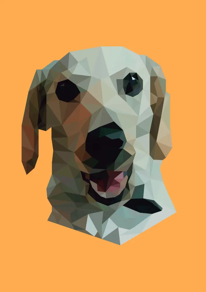 Stella. Arte Poligonal Digital, 2018