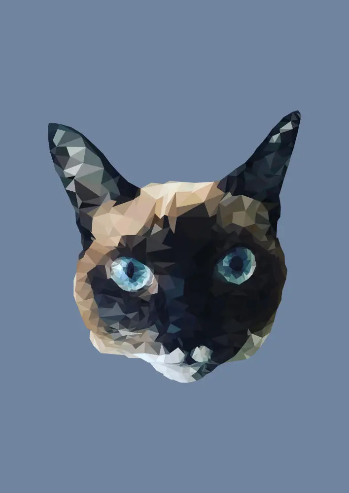 Lilly. Arte Poligonal Digital, 2018